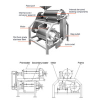Passie Extractor Pasta Commercieel Sap Maken Mango Industriële Pulp Pulper Machine Voor Fruitpulp Voor Fruitpulp