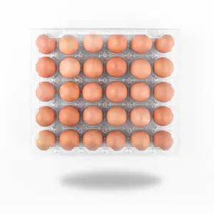 Wholesale Customized PET Clear Box Egg 8 12 15 16 30 Holes Package Container Clamshell Disposable Egg Tray Plastic Container