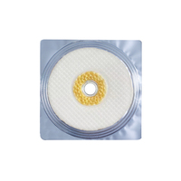 Masque d'augmentation mammaire naturel pour femme, vente chaude, collagène, lifting, patch d'amélioration mammaire, forme de feuille