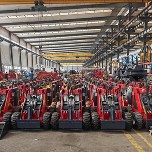 Giá trị đặc biệt cho tiền mini Skid chỉ đạo bánh xe/theo dõi loader Derette-320 với tập tin đính kèm - Product Image 6