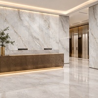 Panneau mural en PVC WYRAX effet marbre, facile à nettoyer, panneau décoratif intérieur pour salon, mur média, gris clair Carrara, 1220x2440mm, 3.0mm