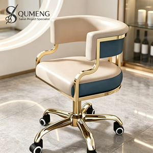 Z Luxury Modern Portable Sofa <b>Chair</b> for Hotels <b>Offices</b> Beauty Salons Nail Salons Hair & Barbershops Bedroom & Apartment Use - Product Image 1