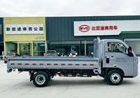 Camions de transport légers à plateau plat 4x2 BYD T4 EV électriques purs (LHD/RHD) à vendre