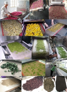 Equipo de esterilización por microondas <span class=keywords><strong>para</strong></span> la industria alimentaria KLD, máquina de procesamiento de huevos de insectos, esporas de bacterias <span class=keywords><strong>para</strong></span> matar <span class=keywords><strong>hongos</strong></span>, núcleo secador PLC - Product Image 6