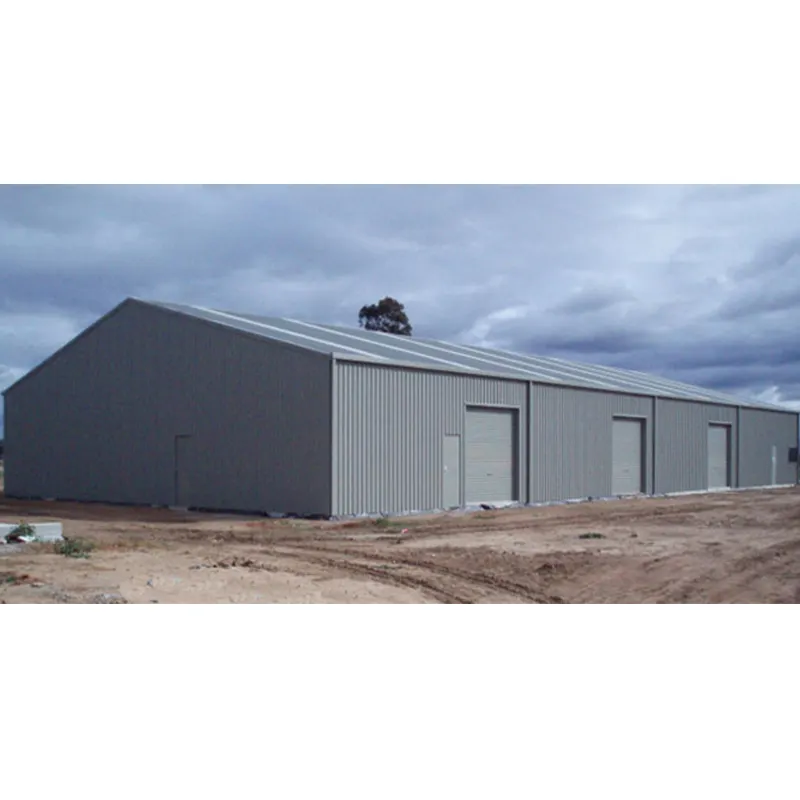 Custom Design Modern Prefabricated Steel Structure Warehouse/Workshop/Hall/Hangar