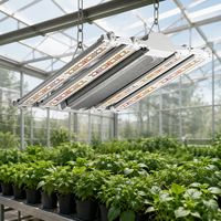 Lampe de culture LED Aries Pro 640W à spectre complet PPE3.0, barre large pour la floraison, garantie 5 ans, IP66, ETL, DLC, éclairage pour plantes