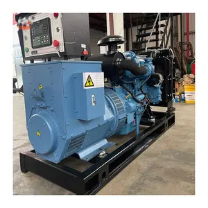 Groothandel Puur Koper Lage Prijs 230V Driefasige Generator / Hot Selling Elektrische Borstelloze Ac 220V Eenfase 12kw Dynamo