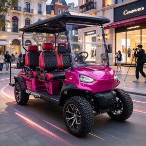 Voiturette de golf électrique ZOWN à batterie durable, 4 places, alimentation stable pour le transport des visiteurs des parcs de loisirs - Product Image 1
