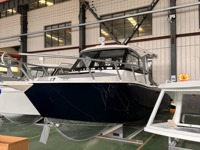 Bateau de pêche en aluminium Gospel de 25 pieds (7,5 m) avec cabine fermée et moteur hors-bord de 250 à 350 CV pour la navigation fluviale et la pêche sportive