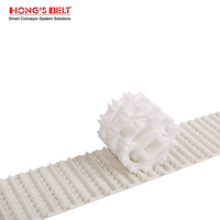 Hongsbelt 100b-hd Modulaire Plastic Transportband Modulaire Riem Voor Groente-En Fruitverwerkende Restaurants