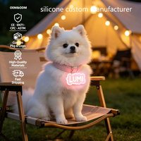 Tag ID Anjing LED Silikon Custom, Tag Nama Hewan Peliharaan Terukir Pribadi yang Menyala, Tag Kalung Anak Anjing Tahan Air Bercahaya untuk Keamanan di Malam Hari