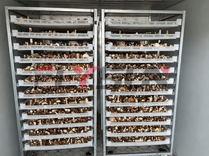 Mushroom <b>drying</b> <b>equipment</b> Industrial Mushroom <b>Drying</b> <b>Equipment</b> with PLC Control System for Dehydrating Fresh mushroom - Product Image 6