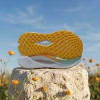 Semelle de chaussure de course antidérapante personnalisée OEM de haute qualité, semelle intermédiaire en Phylon amortissant, semelle extérieure en TPR, plaque en TPU – Vente en gros pour usines de chaussures