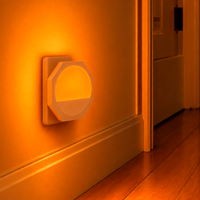 Mini veilleuse 1W à brancher sur prise murale, octogonale, avec capteur automatique crépuscule-aube, lampe de chevet LED pour enfants et bébés, pour chambre et salle de bain