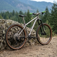 Vélo de montagne en titane VTT 12 vitesses Frein à disque Fourche à suspension Hardtail