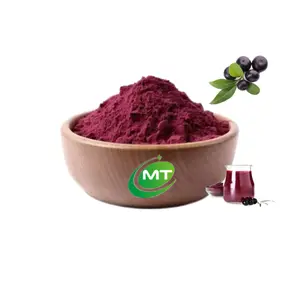 High Quality Food Grade Organic Acai Berry Extract Powder