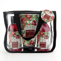 Coffret Cadeau de Luxe Hailida pour le Bain, Personnalisé, Parfum Grenade, Panier en Fil Métallique, Huiles Essentielles, Vente Chaude OEM, Fête des Mères