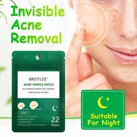 BREYLEE Soins de la peau 22 patchs Traitement de l'acné Cicatrisation des imperfections Traitement des boutons de nuit Patch anti-acné