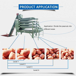 Máquina de clasificación automática de cacahuetes, herramienta de calidad de tamaño de máquina de pelar, nueces de anacardo, pistacho, superventas - Product Image 5