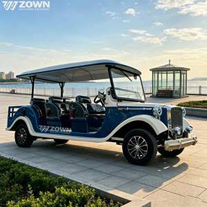 Véhicule de tourisme rétro à moteur brushless à couple élevé pour les opérations quotidiennes dans les grandes zones panoramiques, voiture électrique vintage - Product Image 1