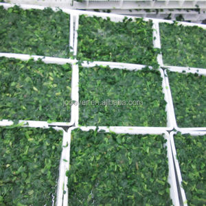 BQF Premium Legumes Congelados Folha De Espinafre Cortada Em Cubo E Padrões Cortados Blanched - Product Image 6
