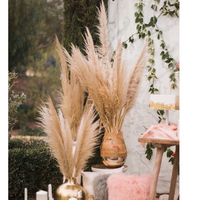 Arche de mariage en pampas, roseau sauvage, pampas séché, couleur naturelle, longue herbe de pampas