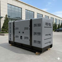Générateur silencieux au gaz naturel 100 kW 150 kW 200 kW 200 kVA 250 kVA pour location, centrale électrique au biogaz