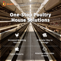 Système de cages à poulets automatiques à plusieurs niveaux de type H, équipement avicole à haute efficacité pour l'élevage commercial de poulets