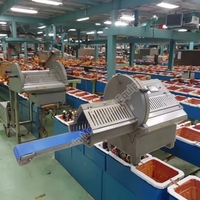 Machine à trancher la viande congelée pour rouleaux de bœuf, bacon, porc, bœuf et agneau