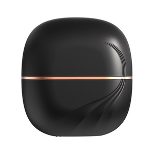 Mini Plancha de Pelo Inalámbrica Portátil Recargable con Iones Negativos y Revestimiento de Turmalina de Titanio para Viajes y Dormitorios - Product Image 1