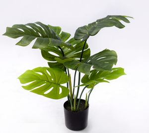 Nataural-árbol artificial de plástico con 10 hojas, 60cm de altura, hojas de monstera en maceta - Product Image 4