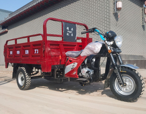 Triciclo Agrícola de Tres Ruedas 2025, Nuevo, de Gasolina, con 1 Año de Garantía en el Motor - Product Image 1