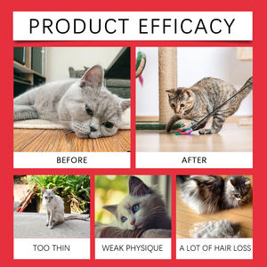 Complément alimentaire pour animaux de compagnie favorisant l'absorption des nutriments <span class=keywords><strong>et</strong></span> soulageant l'inconfort des chats <span class=keywords><strong>et</strong></span> des chiens - Product Image 3