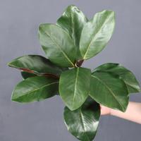 Rangkaian Bunga Daun Magnolia Buatan, Dekorasi Lanskap Daun Besar untuk Hotel dan Ruang Pamer, Tanaman Hijau