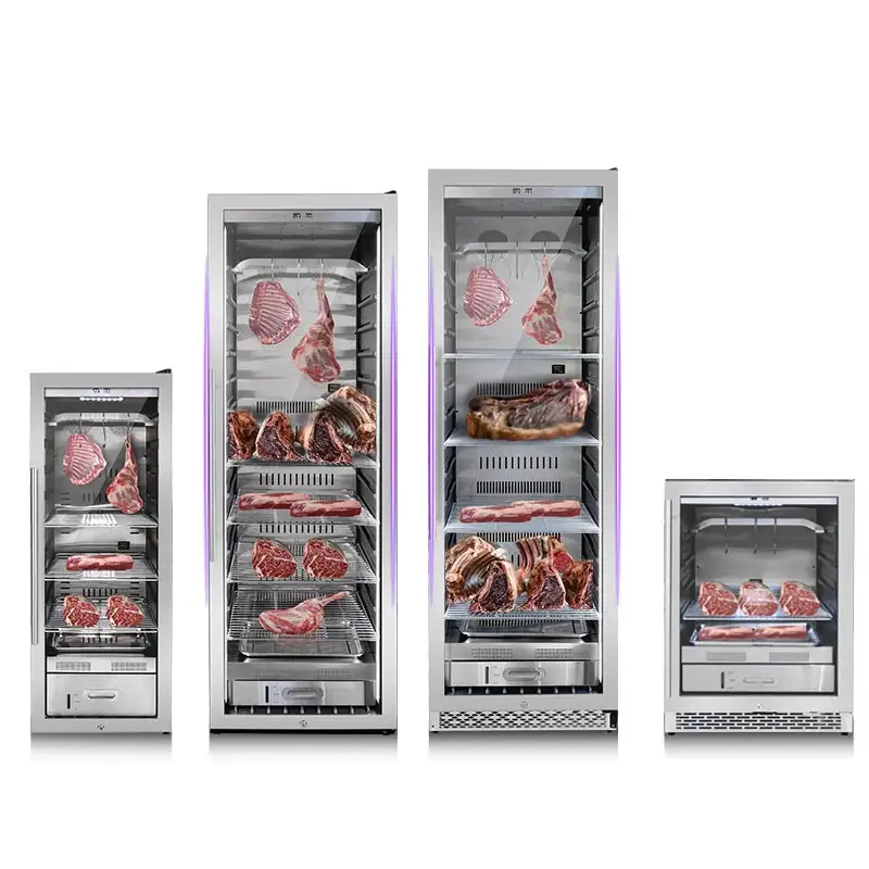 Bistecca di essiccazione della carne a compressore In frigorifero bistecca di manzo di invecchiamento a secco In frigorifero frigorifero di età secca per la casa