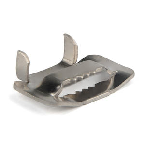 Cable de Fibra Óptica <span class=keywords><strong>para</strong></span> Exteriores FTTH, 19 mm, TSS 304, Hebilla de Acero Inoxidable con Bloqueo de Oreja, Correa de Sujeción, Accesorios de Conector, Modelo - Product Image 2