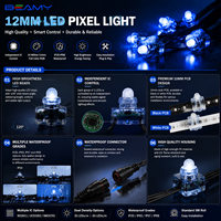 Lumière LED RGB programmable étanche IP67, éclairage extérieur adressable, chaîne de LED WS2811 SPI pour la décoration architecturale