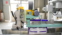 Machine d'emballage secondaire pour le conditionnement de petits sacs de riz dans de grands sacs, système de machine d'emballage secondaire
