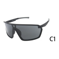 Lunettes de soleil sportives légères OEM ODM avec monture TR90, verres haute définition, pour VTT et cyclisme, personnalisables pour équipes