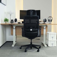 Chaise de bureau ergonomique rose Chaise de bureau Chaise de travail de direction Fauteuil pivotant Fauteuil inclinable Chaise de réunion en maille de tissu pour le bureau