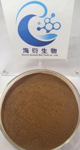 オーガニック天然純竹葉ハーブエキス粉末 食品グレード 栄養豊富 免疫力サポート カフェインフリー グルテンフリー ドラム入り - Product Image 4