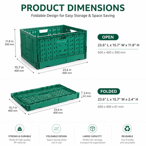 HUADING 600*400*300mm Caisse en plastique pliable empilable <span class=keywords><strong>de</strong></span> qualité alimentaire PP pour la <span class=keywords><strong>livraison</strong></span> sur le marché <span class=keywords><strong>de</strong></span> gros - Product Image 3