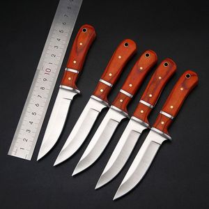 Cuchillo pequeño mongol, cuchillo de acero inoxidable, cuchillo para exteriores, cuchillo para carne, cuchillo para barbacoa, con funda de cuero, afilado - Product Image 1