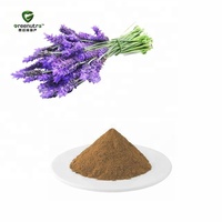Ekstrak Lavender Greenutra & Ekstrak Air Lavender Kelas Makanan Sehat, Dilengkapi Pelarut Ekstraksi, Aman untuk Industri Kosmetik & Makanan