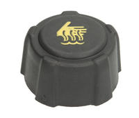 Anpassbare Box-Logo-Etikette 8200048024 Kühlmittel-Ausgleichsbehälterdeckel für Renault Clio Duster Logan Sandero Stepway
