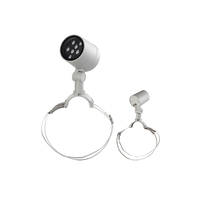 Aluminium-Garten-PWM-RGB/RGBW-LED-Baumbeleuchtung, wasserdicht IP65, warmweiße Flutlichtlampe mit Ring