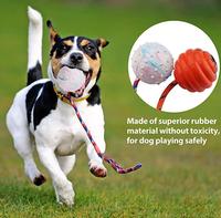 Pot en caoutchouc durable Non toxique pour bébé, boule avec corde, jouet pour chien