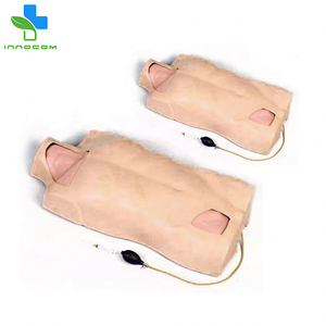 Đầy Đủ Chức Năng PVC Trung Tâm Tĩnh Mạch Tiêm Thân Mô Hình Y Tế Đào Tạo Lâm Sàng Giáo Dục Khoa Học Trung Tâm Tĩnh Mạch Tiêm - Product Image 2