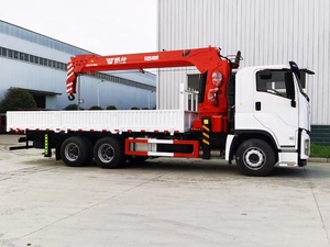 رافعة هيدروليك ايسوزو للشاحنات 10 طن مركبة على شاحنة - Product Image 4