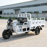 Tricycle cargo à essence Loncin 150cc, 2 places, possibilité d'ajouter un abri contre la pluie, économique, durable, tricycle à moteur pour le transport de marchandises